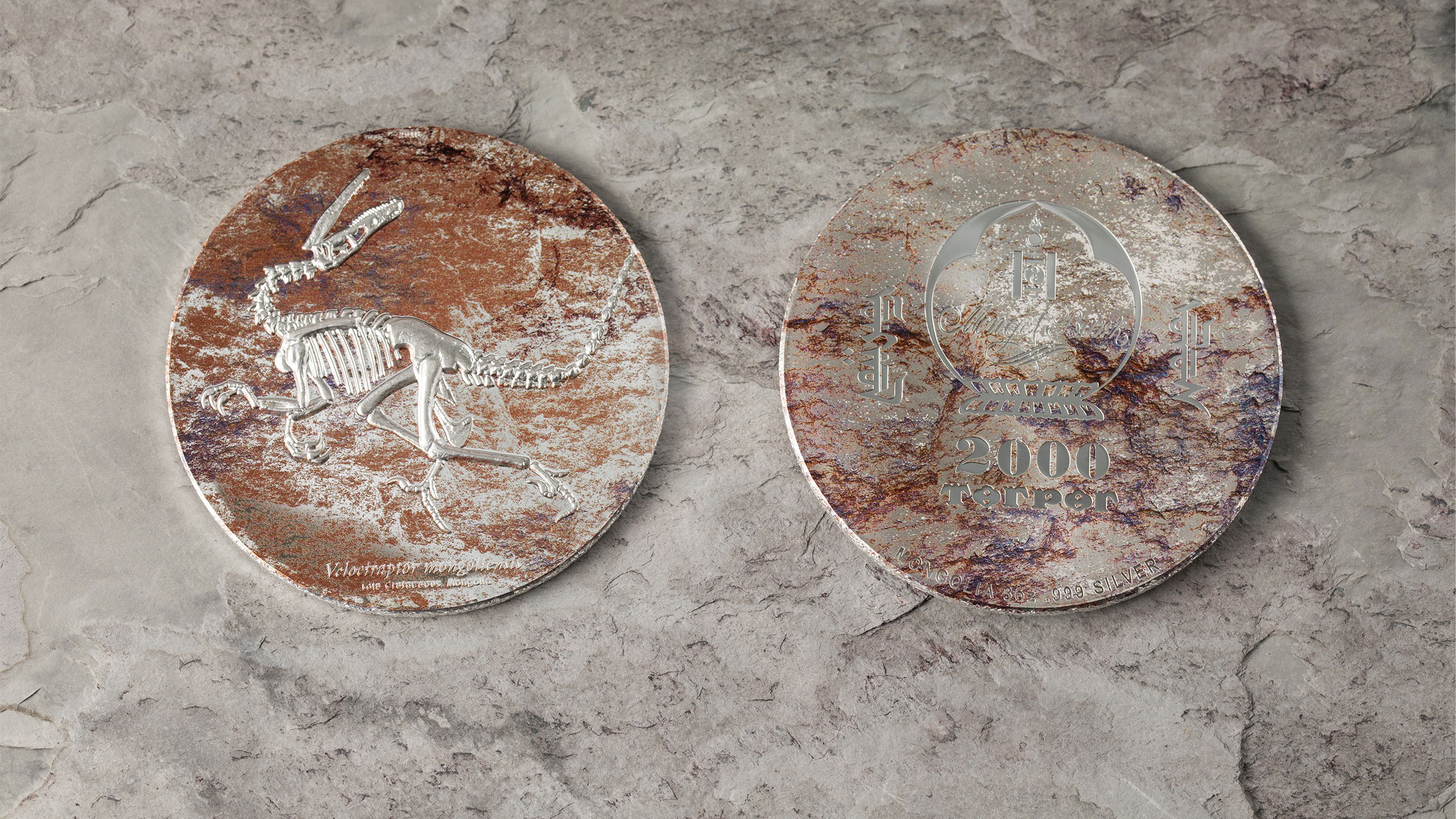 Velociraptor mongoliensis fossil silver coin with smartminting high relief by cit coin invest ag and b h mayer mint for mongolia